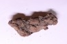 COPROLITHE DE REPTILE - cénozoïque - région de Betsiboka, province de Majunga - Madagascar