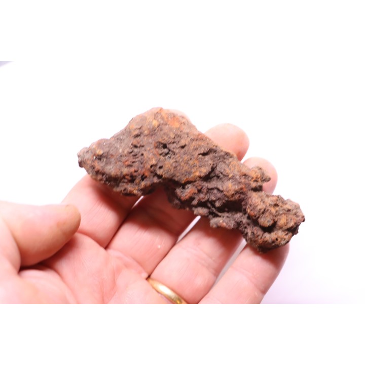 COPROLITHE DE REPTILE - cénozoïque - région de Betsiboka, province de Majunga - Madagascar