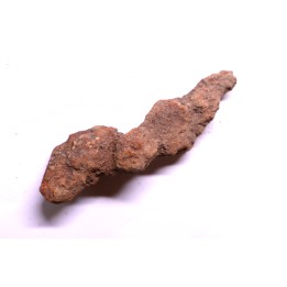 COPROLITHE DE REPTILE - cénozoïque - région de Betsiboka, province de Majunga - Madagascar