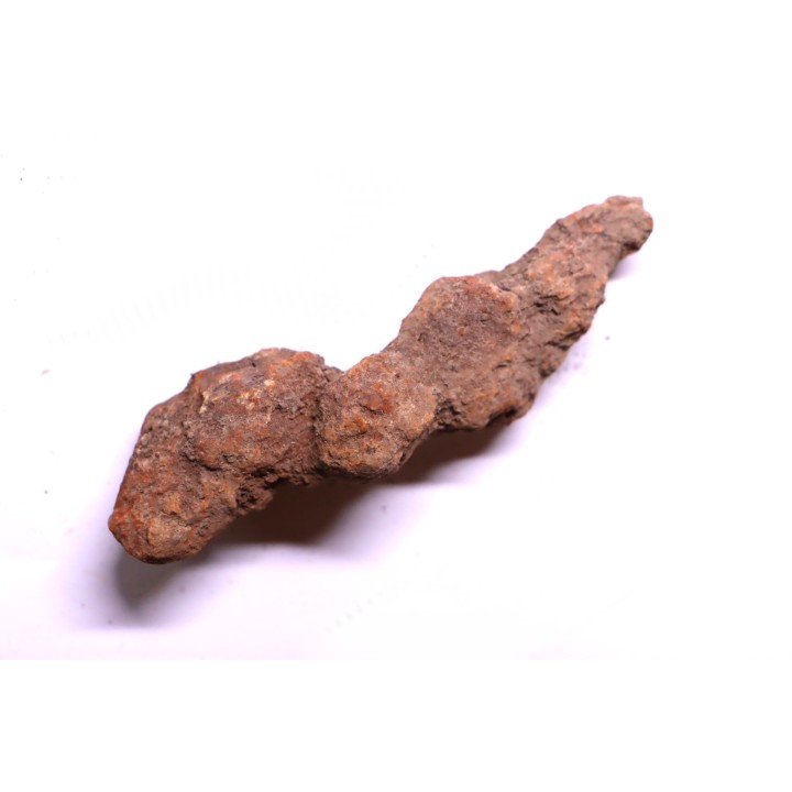 COPROLITHE DE REPTILE - cénozoïque - région de Betsiboka, province de Majunga - Madagascar
