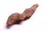 coprolithe of reptil - cenozoic - Betsiboka, province of Majunga - Madagascar