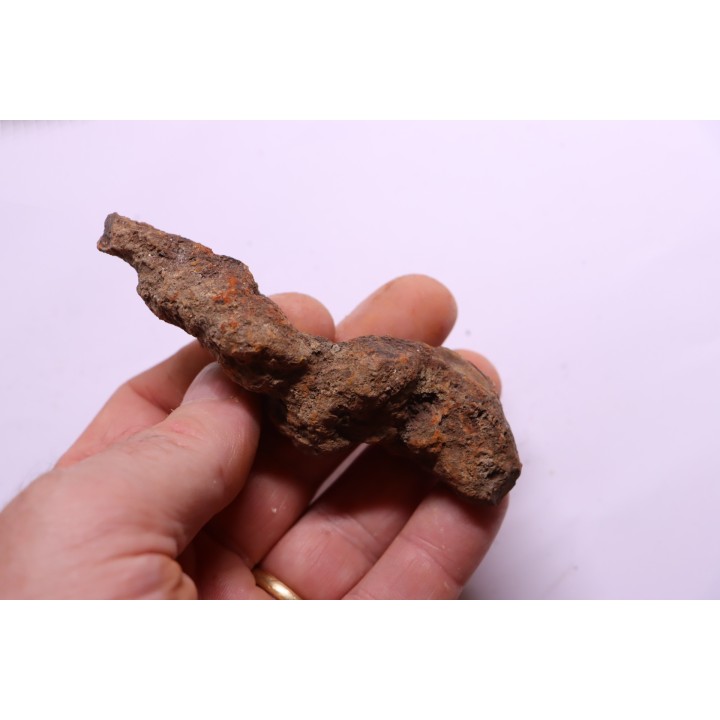 coprolithe of reptil - cenozoic -  Betsiboka, province of Majunga - Madagascar