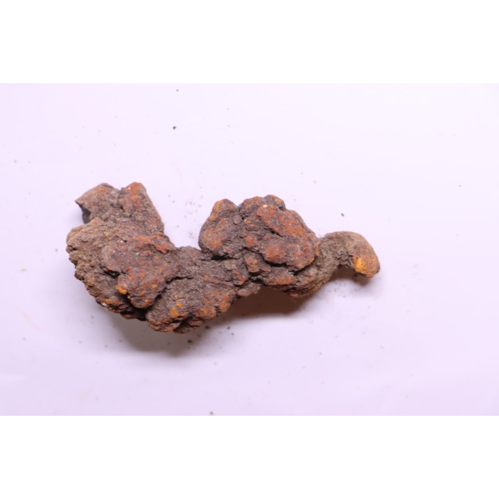 COPROLITHE DE REPTILE - cénozoïque - région de Betsiboka, province de Majunga - Madagascar