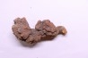 coprolithe of reptil - cenozoic - Betsiboka, province of Majunga - Madagascar