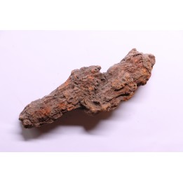 COPROLITHE DE REPTILE - cénozoïque - région de Betsiboka, province de Majunga - Madagascar
