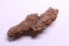 coprolithe of reptil - cenozoic -  Betsiboka, province of Majunga - Madagascar