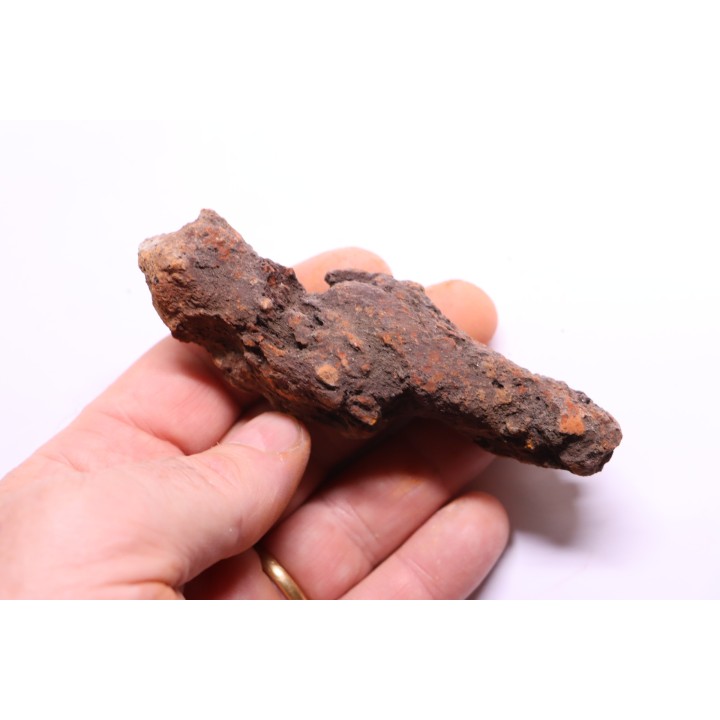 COPROLITHE DE REPTILE - cénozoïque - région de Betsiboka, province de Majunga - Madagascar