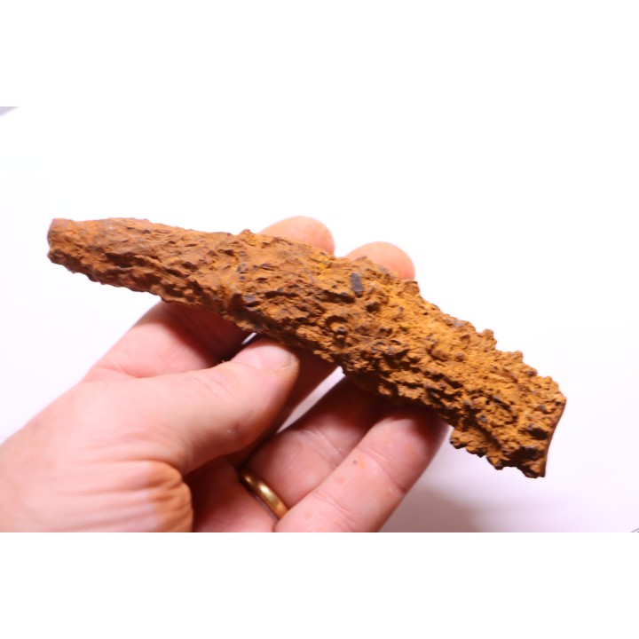 coprolithe of reptil - cenozoic -  Betsiboka, province of Majunga - Madagascar
