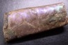 BACULITES COMPRESSUS - upper Campanian - Pierre Shale Fmt - south Dakota - USA