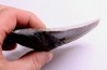 dent de requin: CARCHARODON MEGALODON