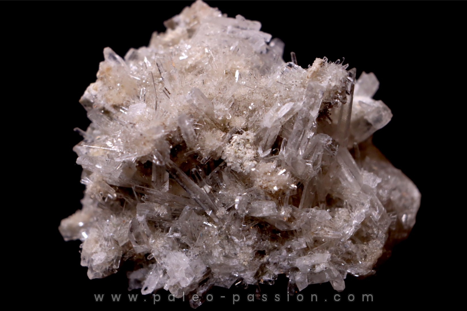 NIFONTOVITE Mina Rey y Reina, Charcas, San Luis Potosi, Mexico