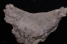 NIFONTOVITE Mina Rey y Reina, Charcas, San Luis Potosi, Mexico