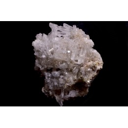 NIFONTOVITE  Mina Rey y Reina, Charcas, San Luis Potosi, Mexico