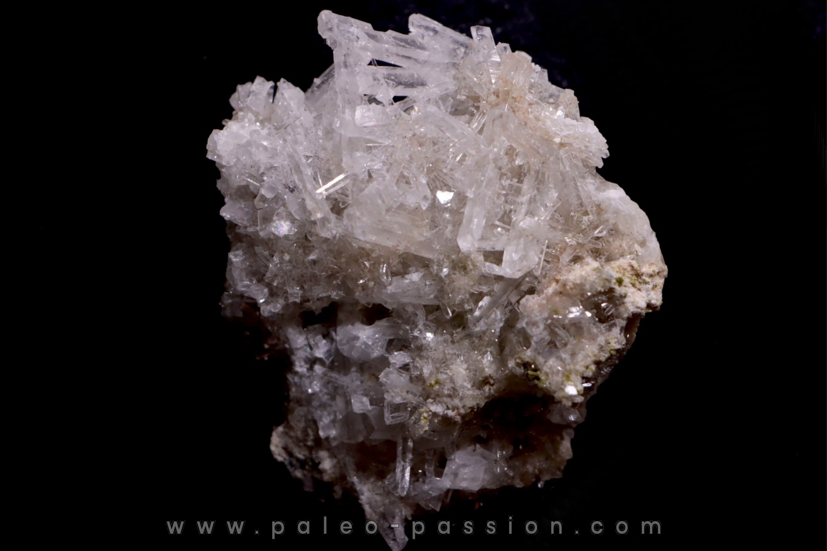 NIFONTOVITE Mina Rey y Reina, Charcas, San Luis Potosi, Mexico
