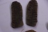 set of 5 nodules pennsylvanian (carboniferous) Carbondale Fmt - Mazon creek - Illinois - USA
