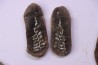 set of 5 nodules pennsylvanian (carboniferous) Carbondale Fmt - Mazon creek - Illinois - USA