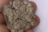 coprolithe de dinosaure - jurassique - Morrison Formation - Wyoming, USA