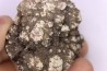 coprolithe de dinosaure - jurassique - Morrison Formation - Wyoming, USA