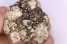 dinosaur coprolithe - jurassic - Morrison Formation - Wyoming, USA