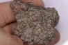 coprolithe de dinosaure - jurassique - Morrison Formation - Wyoming, USA