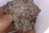 dinosaur coprolithe - jurassic - Morrison Formation - Wyoming, USA