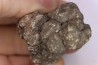 dinosaur coprolithe - jurassic - Morrison Formation - Wyoming, USA