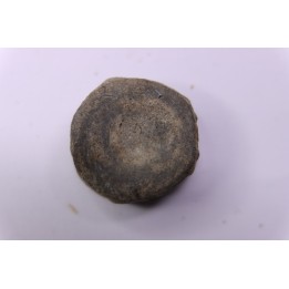 ICHTHYOSAUR vertebra:  STENOPTERYGIUS - lower Toarcian - Nancy area - FRANCE