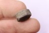 ICHTHYOSAUR vertebra:  STENOPTERYGIUS - lower Toarcian - Nancy area - FRANCE