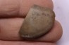 LAEVAPTYCHUS LATUS - Kimmeridgian  Geisingen, Germany