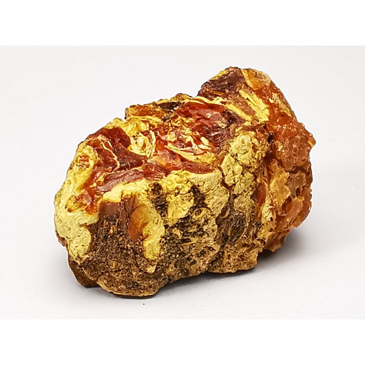 amber , Cretaceous, USA