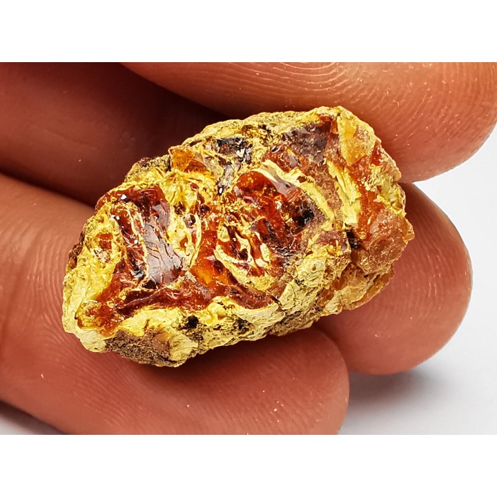 AMBRE du Crétacé, USA