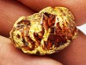 amber , Cretaceous, USA