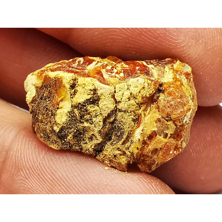 amber , Cretaceous, USA