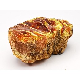 amber , Cretecous, USA