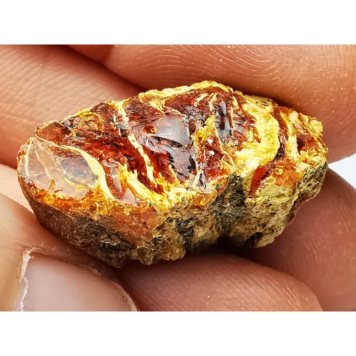 amber , Cretecous, USA