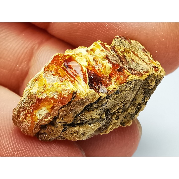 amber , Cretecous, USA
