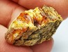 AMBRE du Crétacé, USA