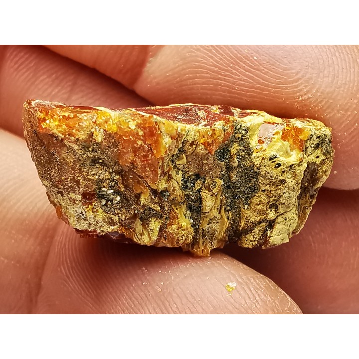 amber , Cretecous, USA