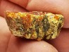 amber , Cretecous, USA