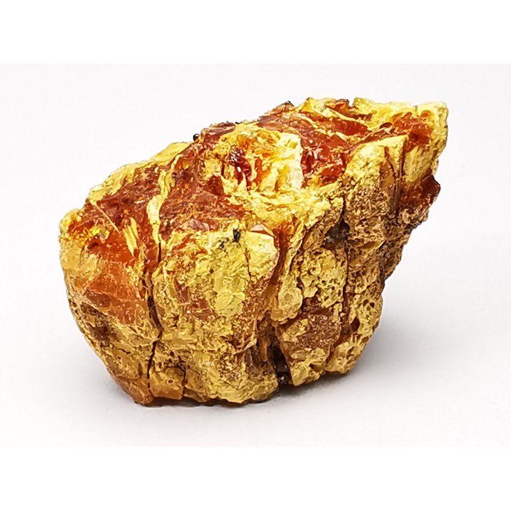 AMBRE du Crétacé, USA