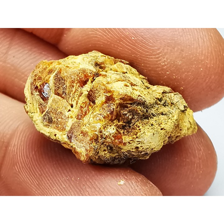 AMBRE du Crétacé, USA