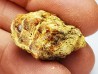 AMBRE du Crétacé, USA