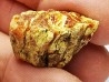amber , Cretecous, USA