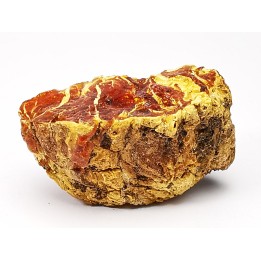 amber , Cretecous, USA