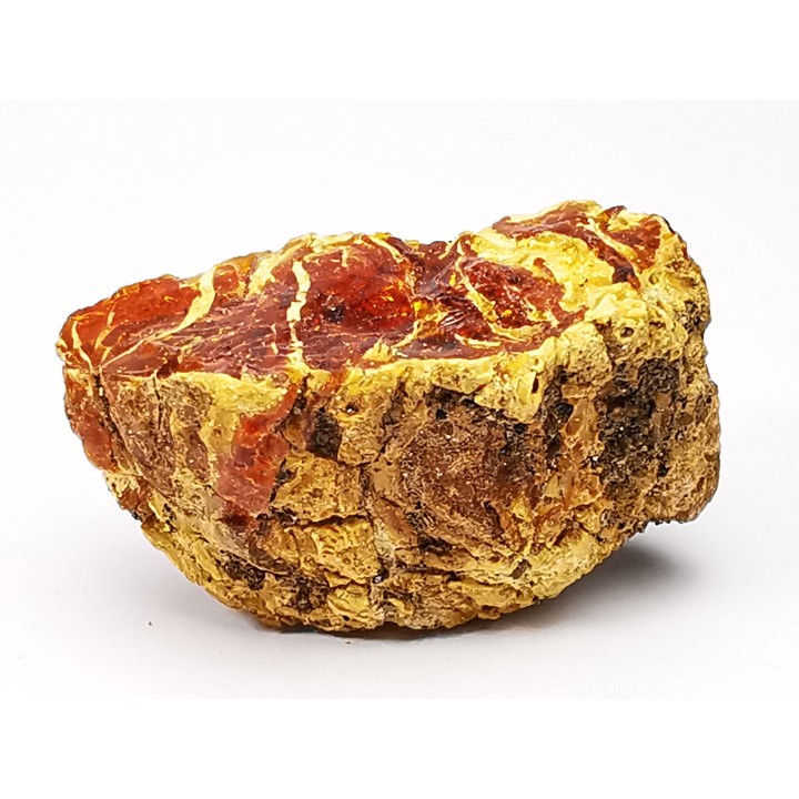 amber , Cretecous, USA