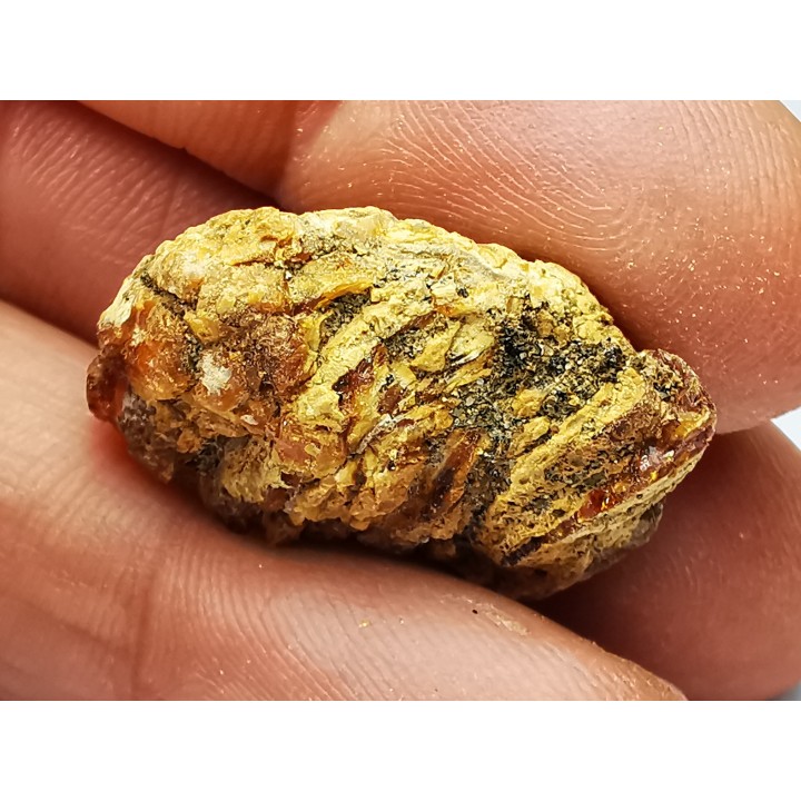 AMBRE du Crétacé, USA