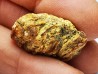 amber , Cretecous, USA