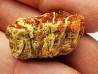 amber , Cretecous, USA