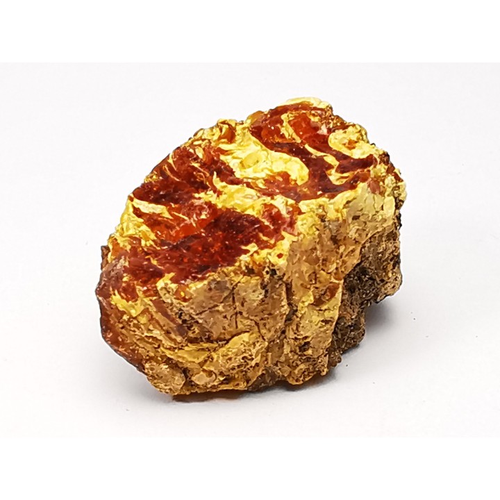 amber , Cretecous, USA