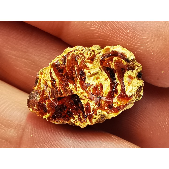 AMBRE du Crétacé, USA
